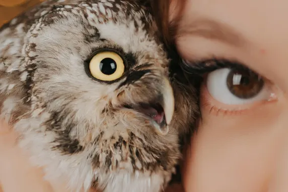 Kasyno AllStar Slots Wsparcie